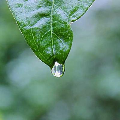 高端高端创意