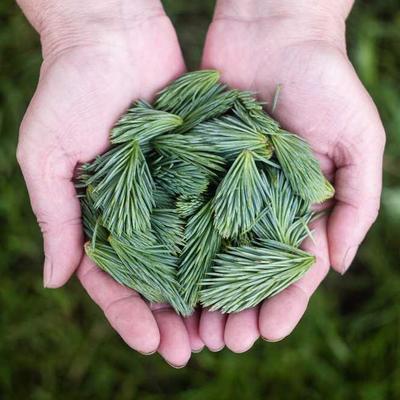 智慧城市网络化